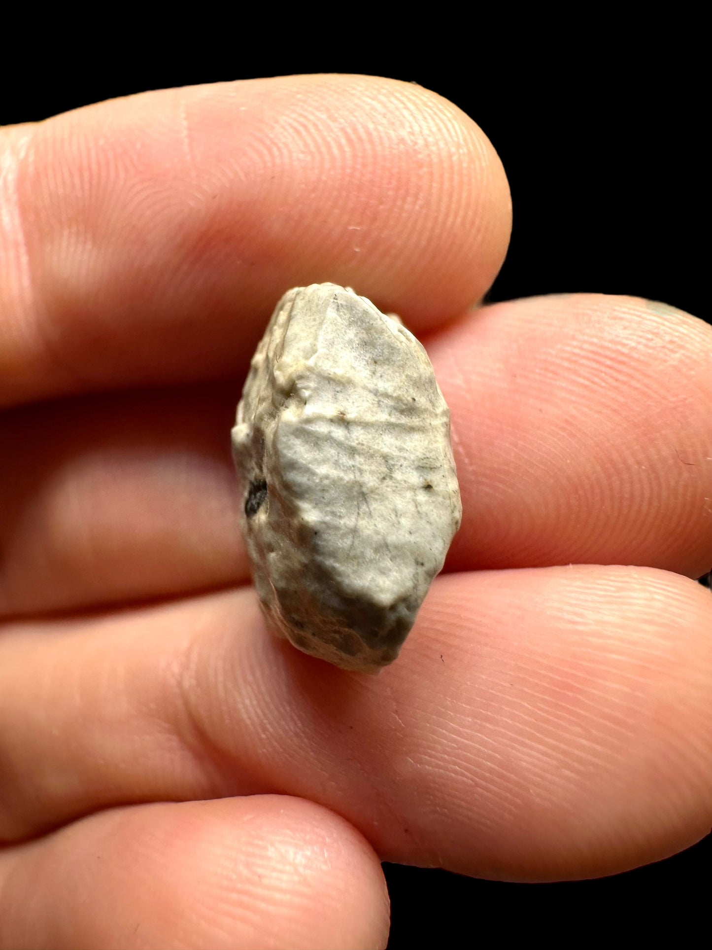 Meteorite Djoua 001 – Algeria – MEDJ06