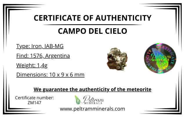 Meteorite ferroso – Campo del Cielo, Argentina – ZM147
