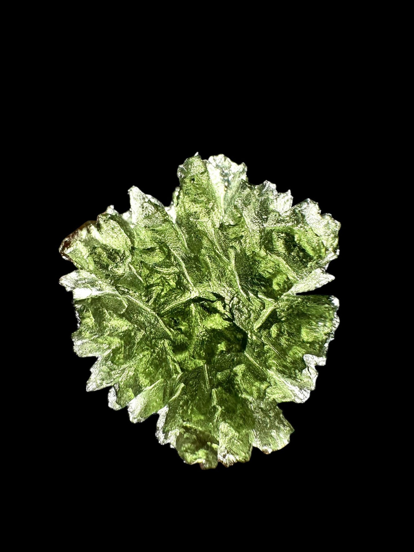 Moldavite – Besednice Jezkovna – 9,1g – BJ087