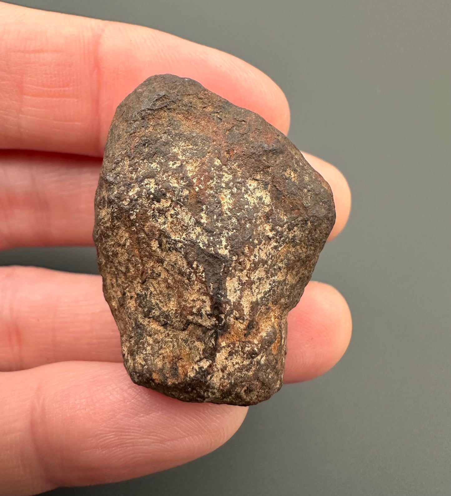 Meteorite Canyon Diablo – Arizona, USA – MECD18