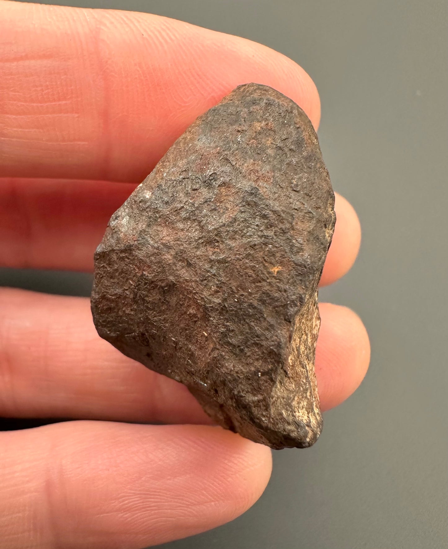 Meteorite Canyon Diablo – Arizona, USA – MECD18