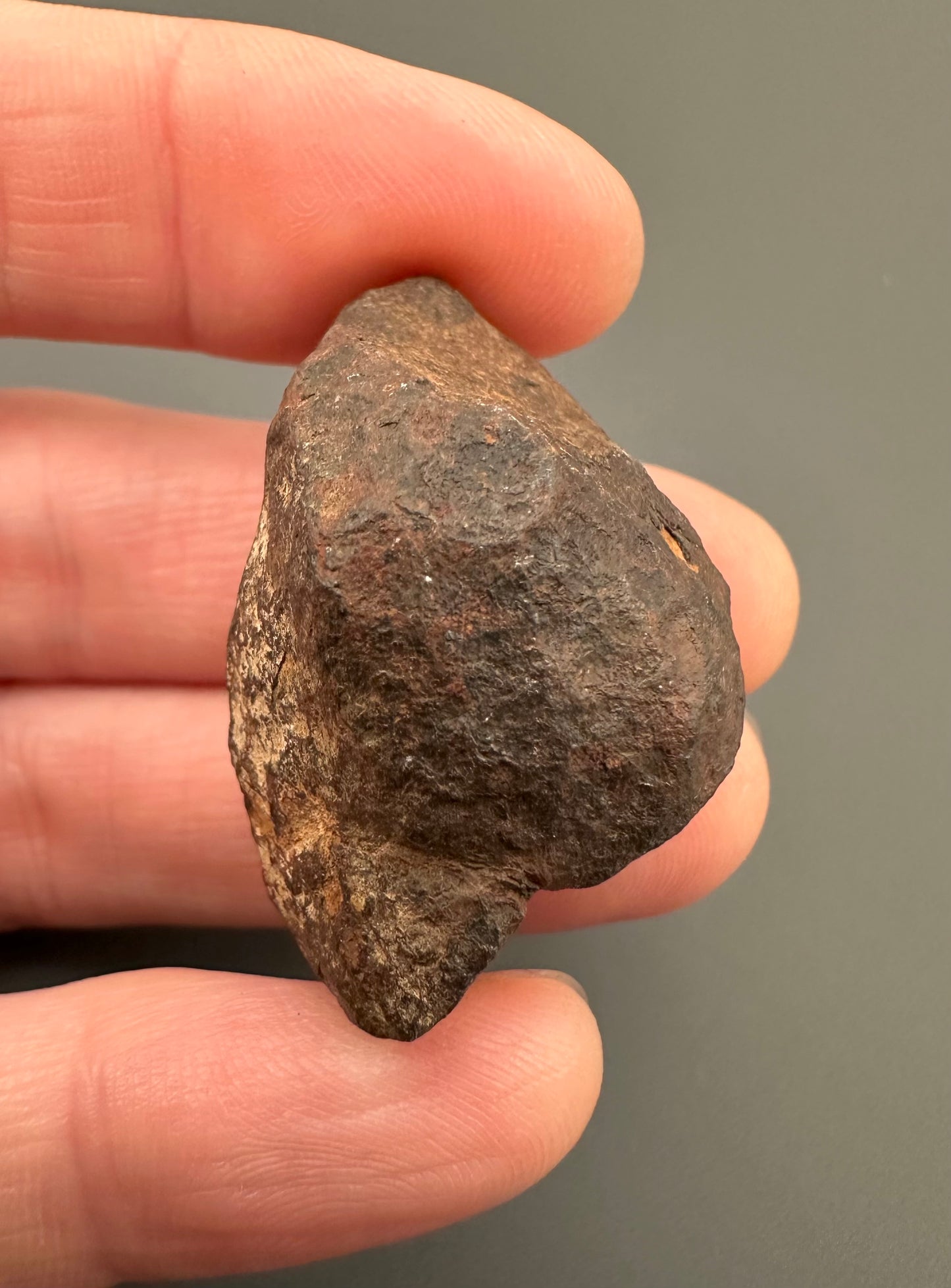 Meteorite Canyon Diablo – Arizona, USA – MECD18
