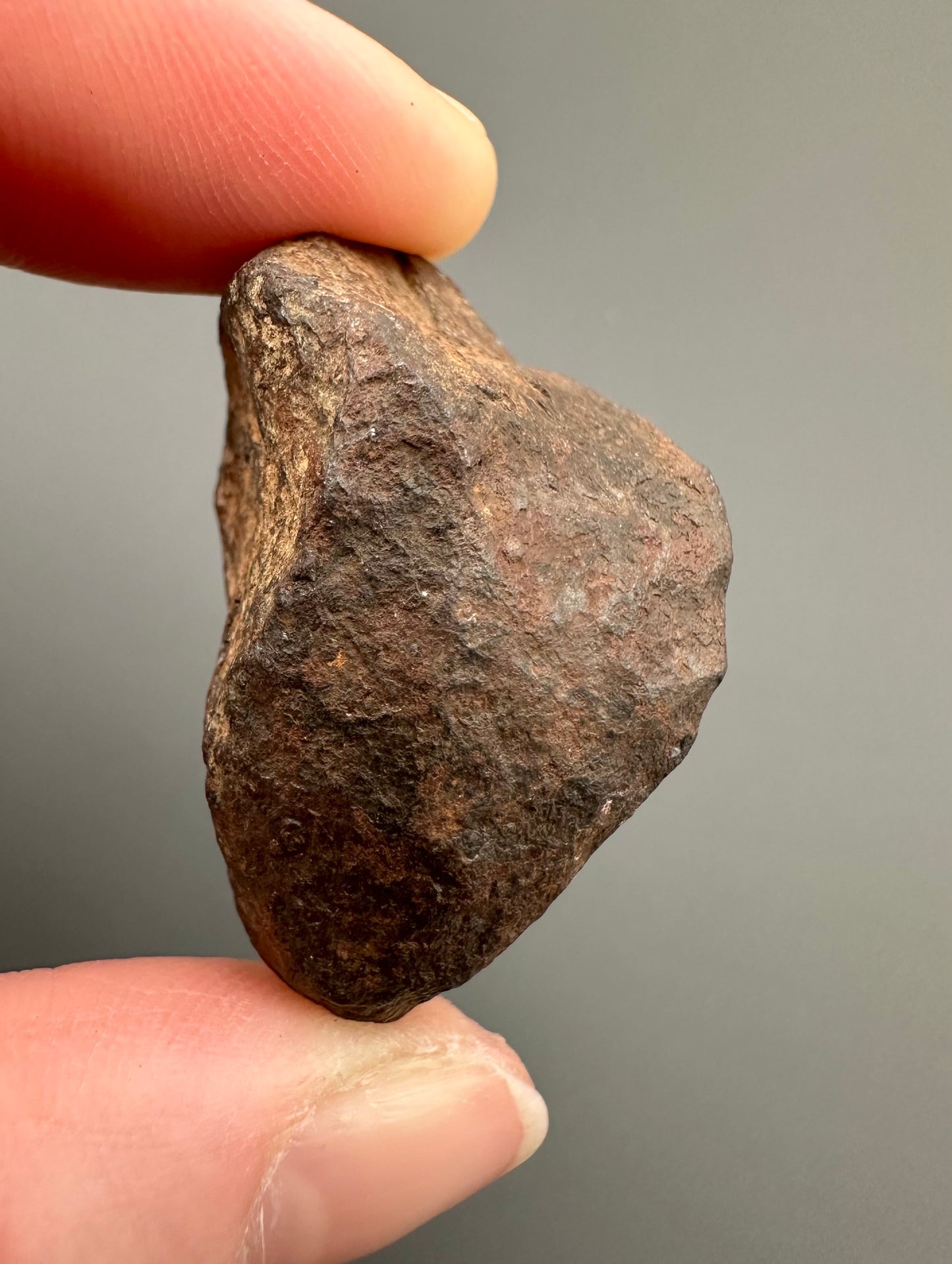 Meteorite Canyon Diablo – Arizona, USA – MECD18