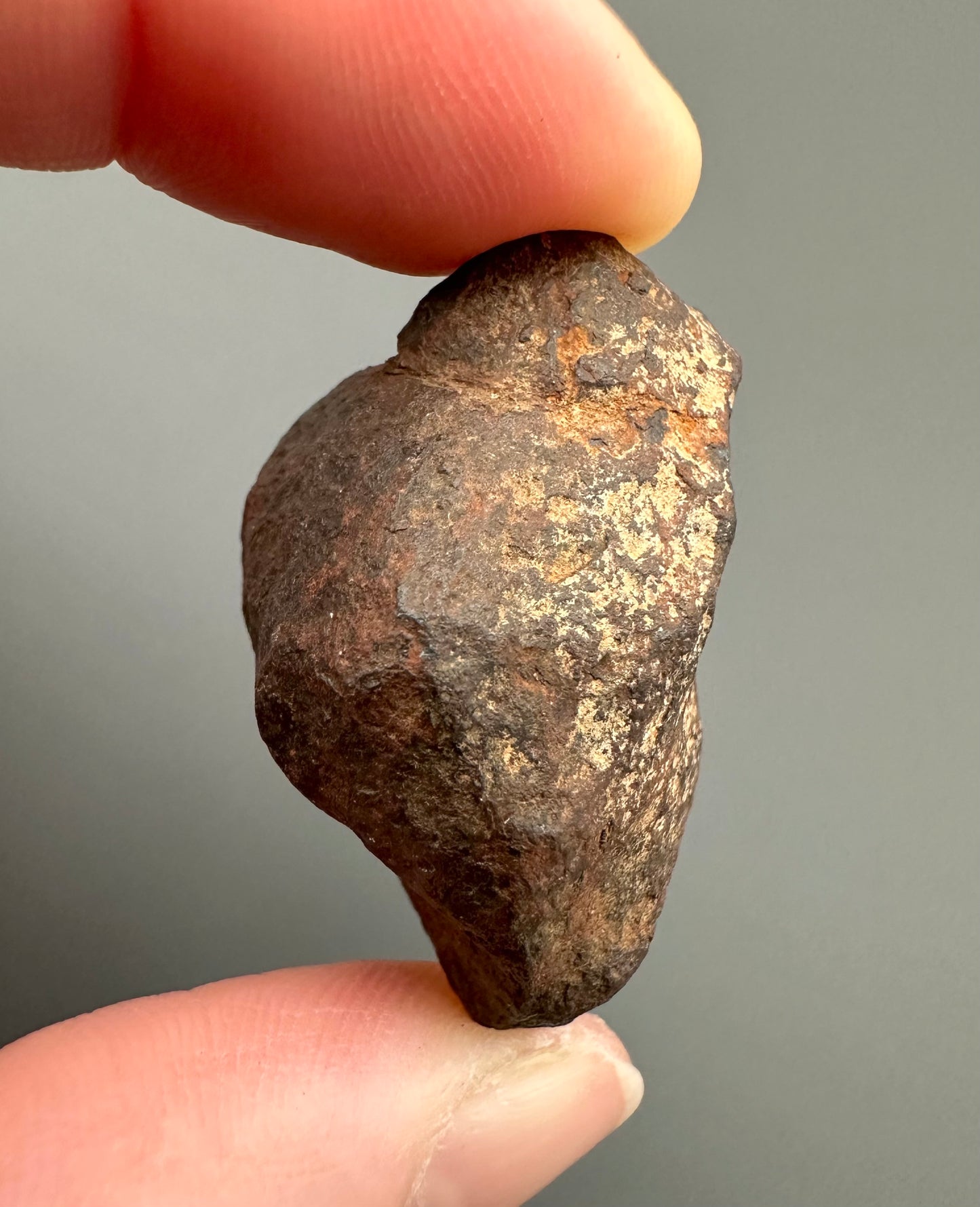 Meteorite Canyon Diablo – Arizona, USA – MECD18