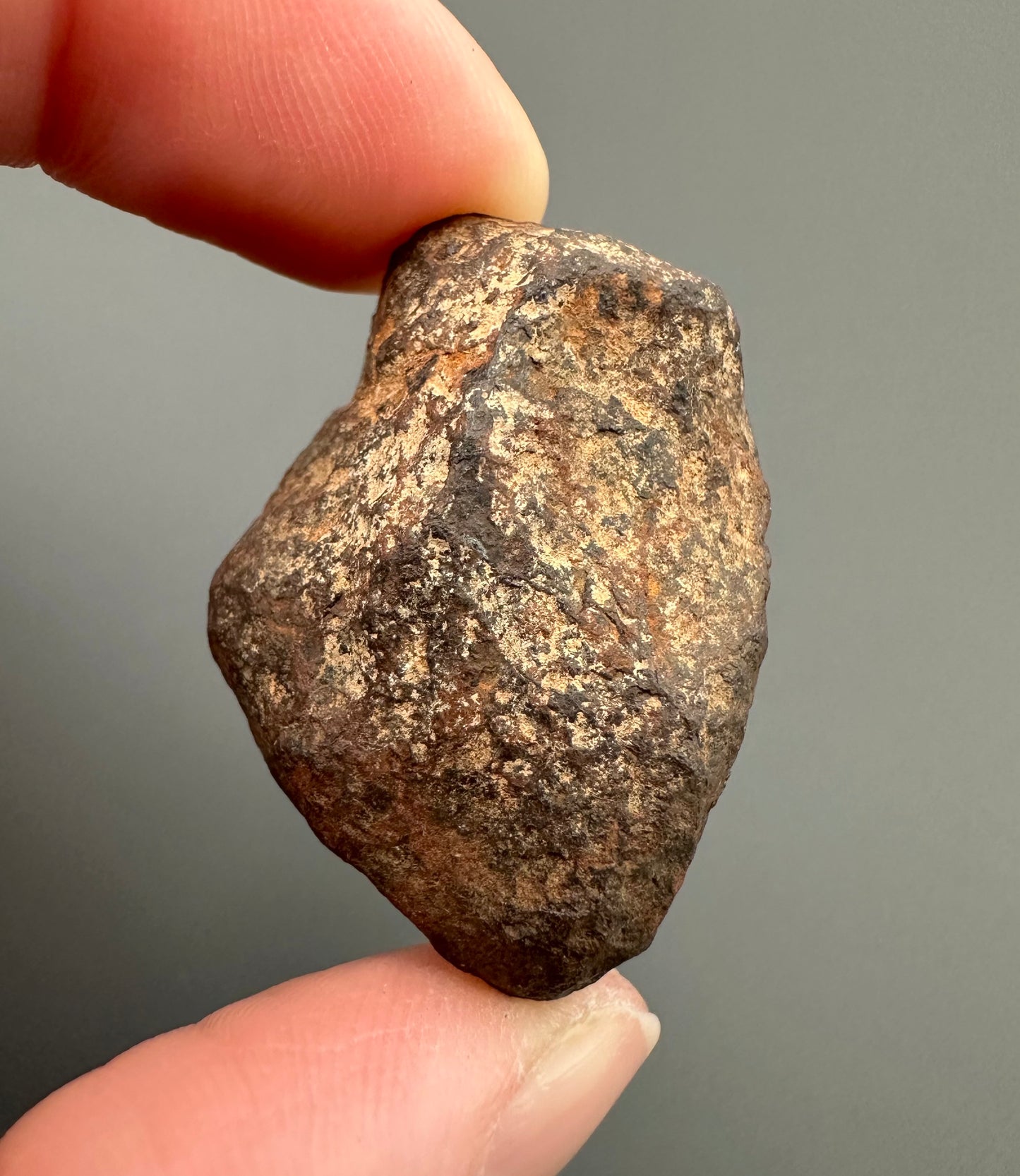 Meteorite Canyon Diablo – Arizona, USA – MECD18
