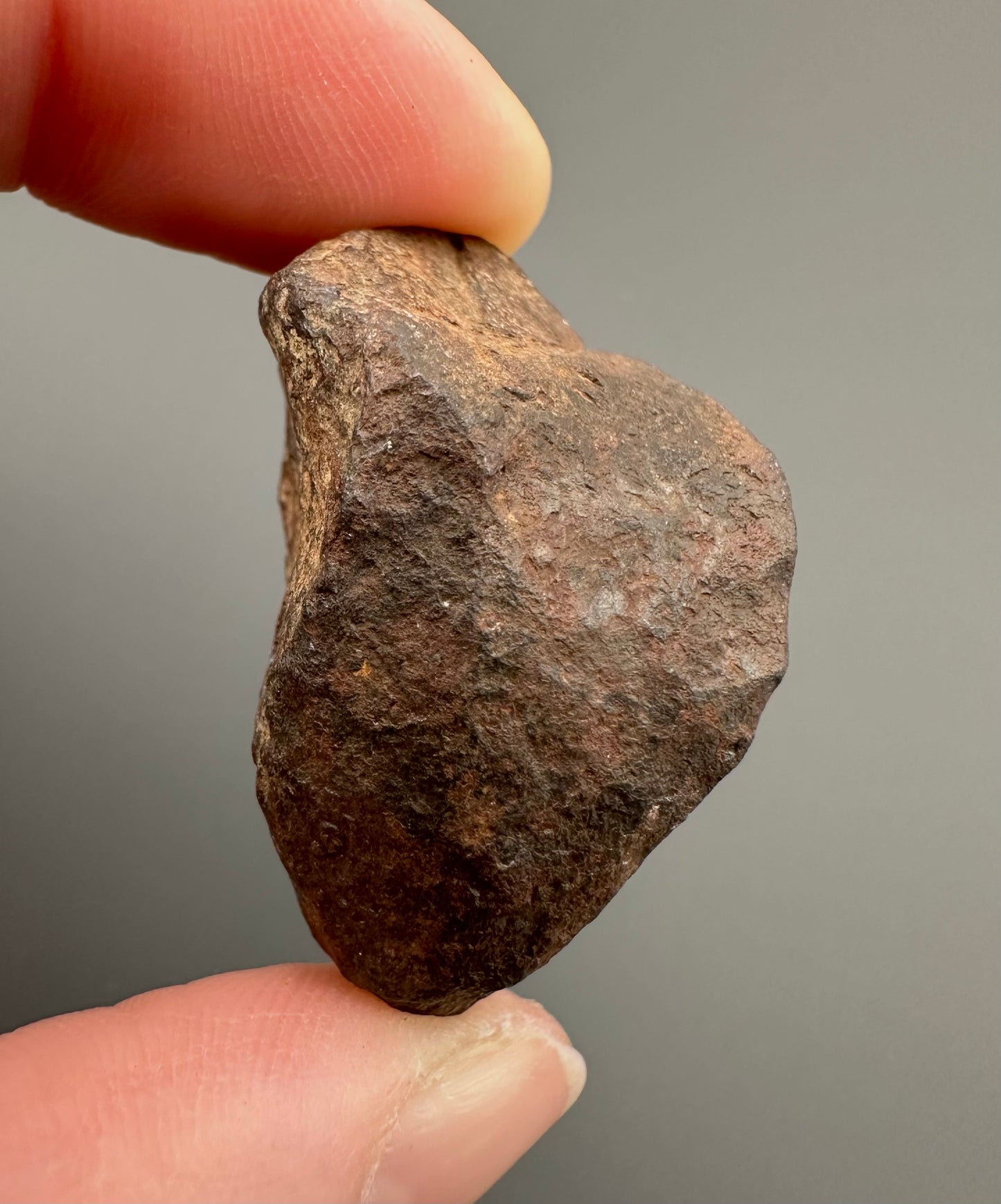 Meteorite Canyon Diablo – Arizona, USA – MECD18