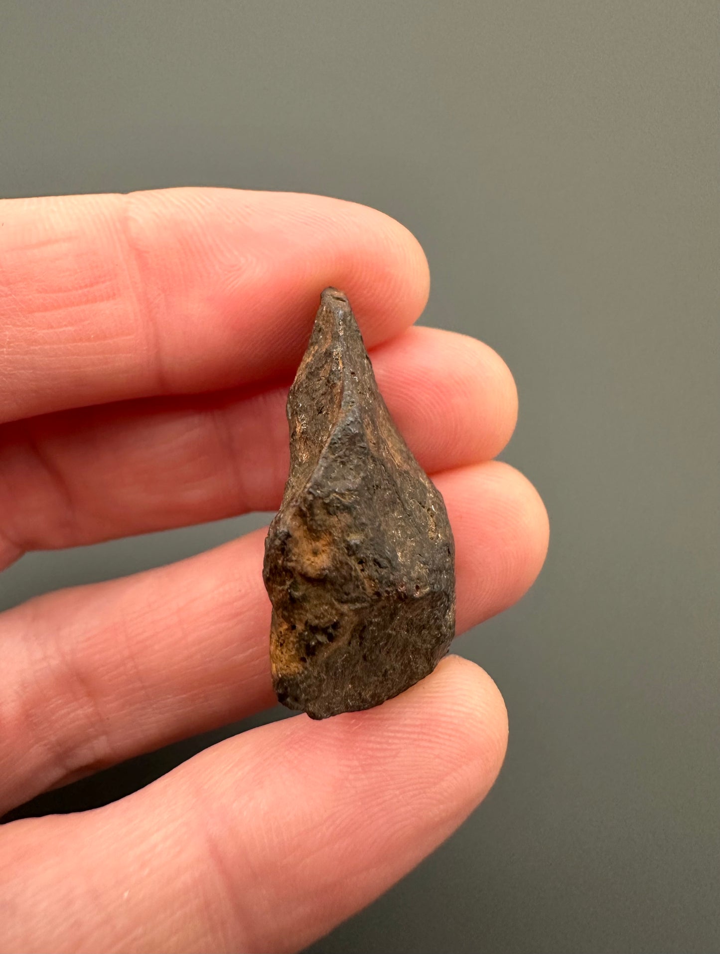 Meteorite Canyon Diablo – Arizona, USA – MECD21