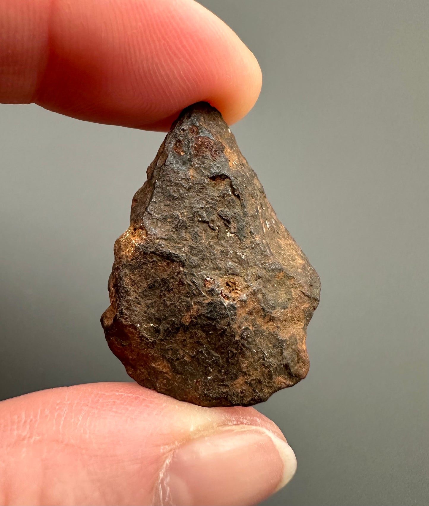 Meteorite Canyon Diablo – Arizona, USA – MECD21