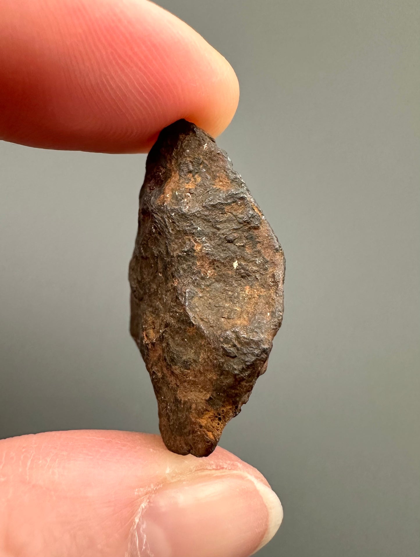 Meteorite Canyon Diablo – Arizona, USA – MECD21