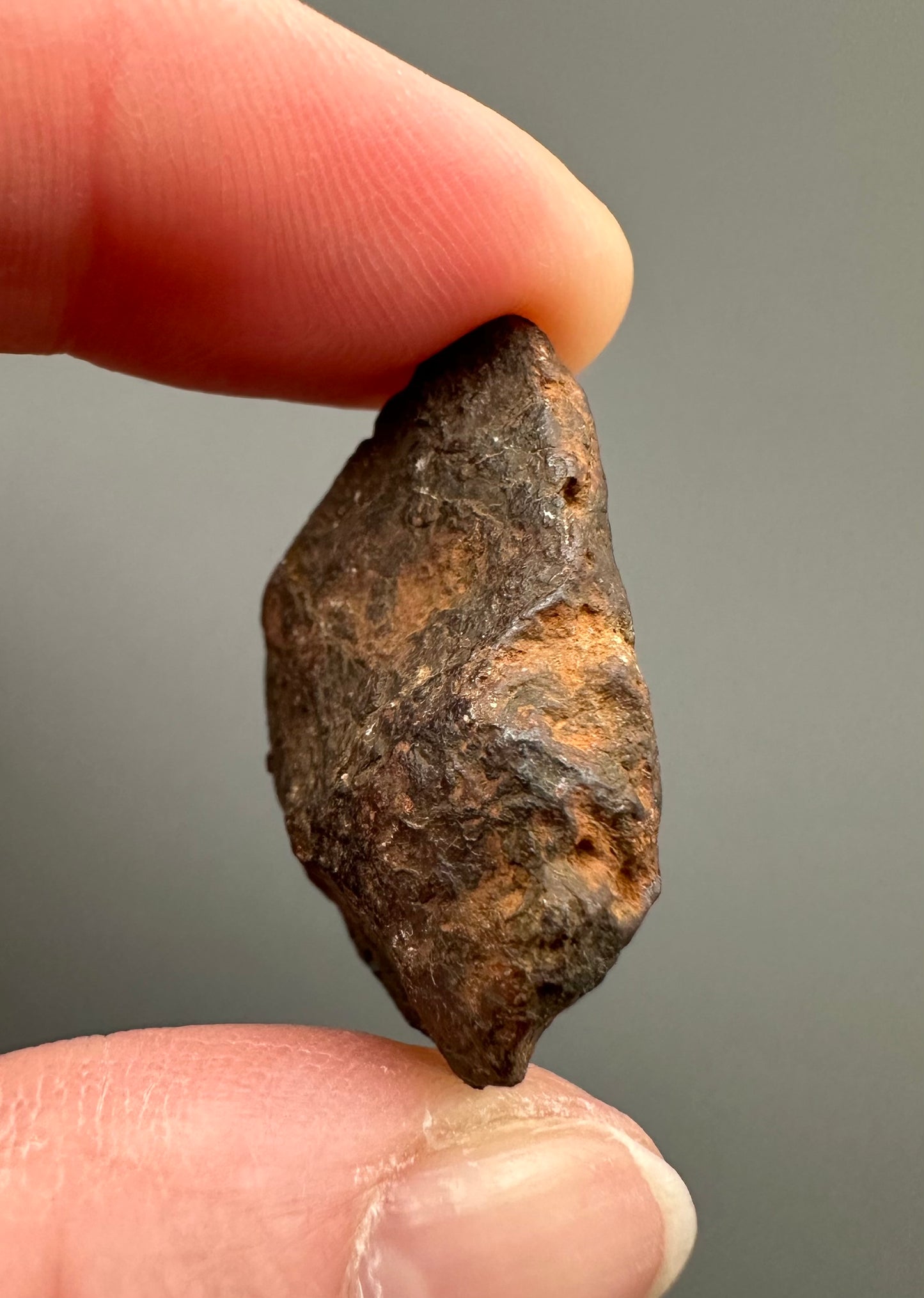 Meteorite Canyon Diablo – Arizona, USA – MECD21