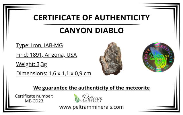Meteorite Canyon Diablo – Arizona, USA – MECD23