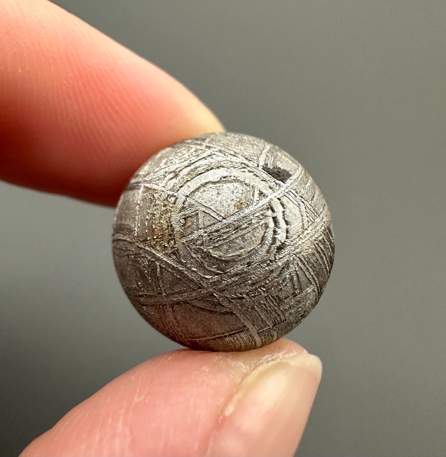 Meteorite Muonionalusta – Norrbotten, Sweden – MEMO29