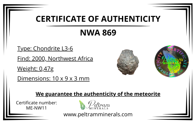 Meteorite NWA 869 – Northwest Africa – MENW11