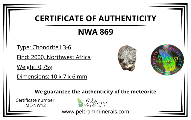 Meteorite NWA 869 – Northwest Africa – MENW12