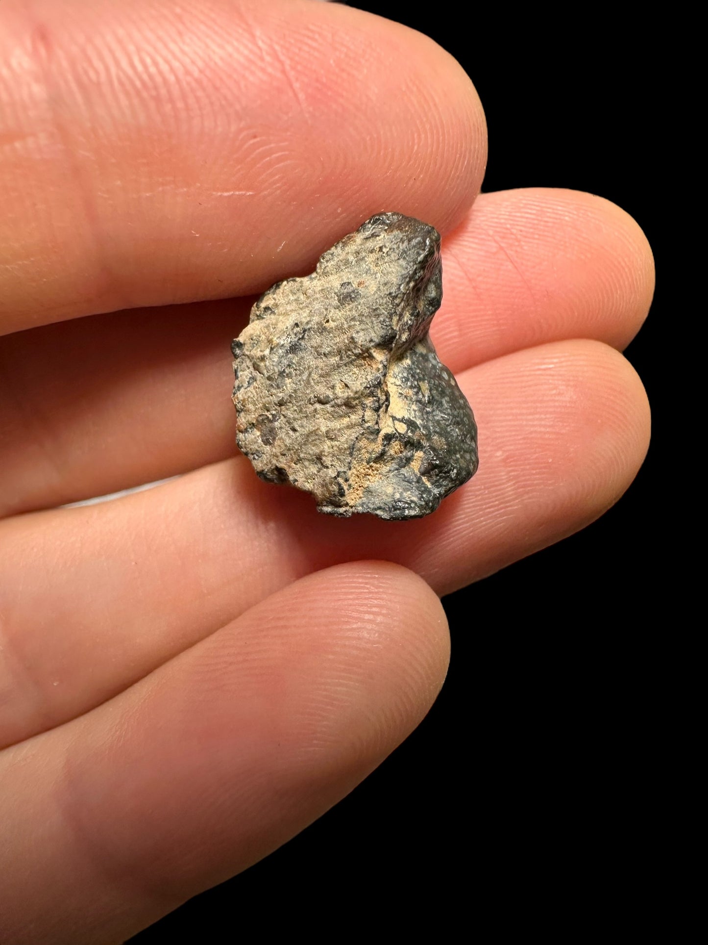 Meteorite Tni-Haia 001 – Algeria – METH03