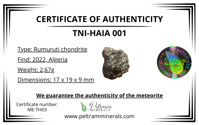 Meteorite Tni-Haia 001 – Algeria – METH03