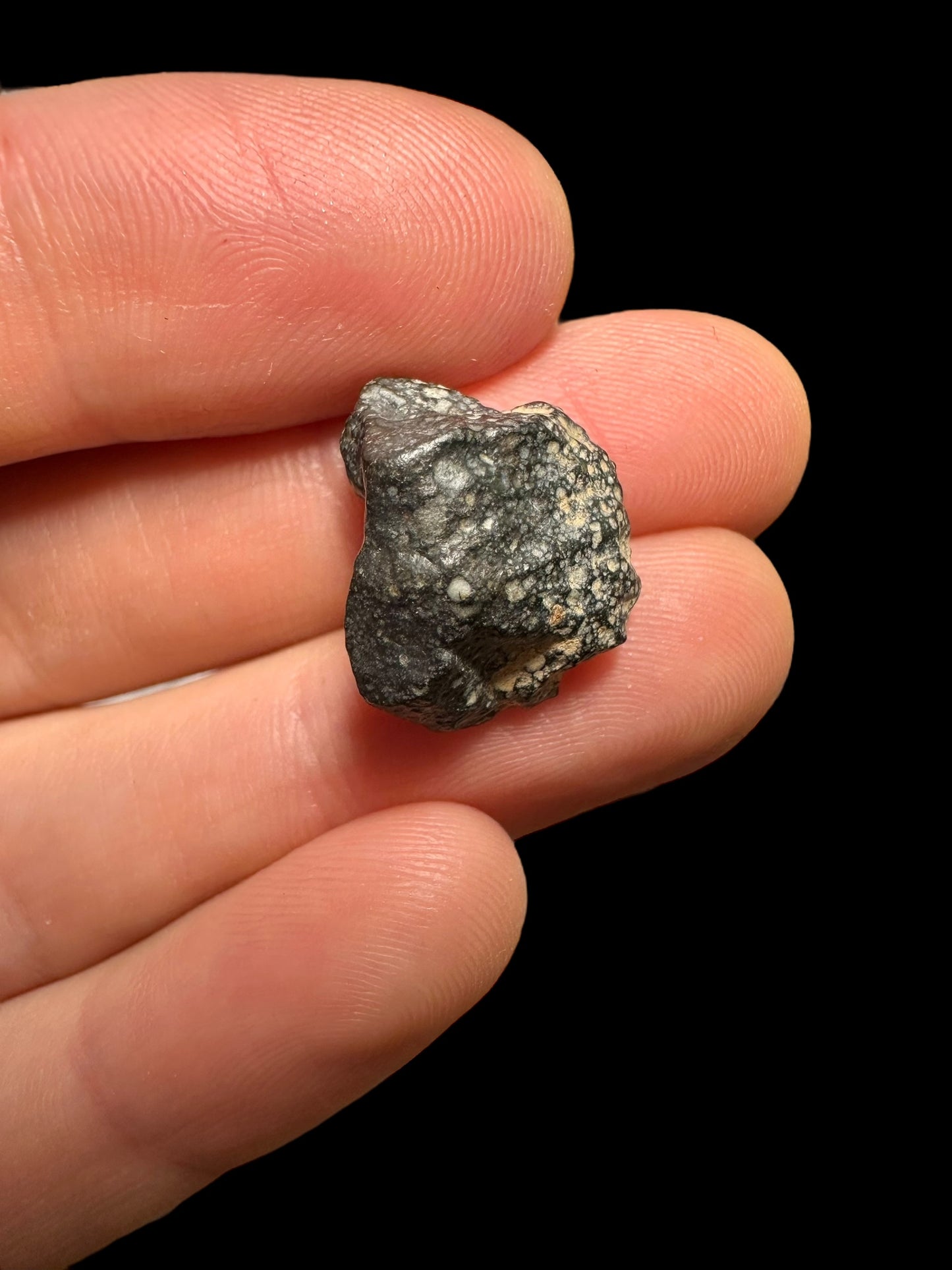 Meteorite Tni-Haia 001 – Algeria – METH03