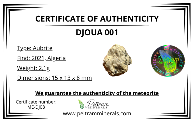 Meteorite Djoua 001 – Algeria – MEDJ08