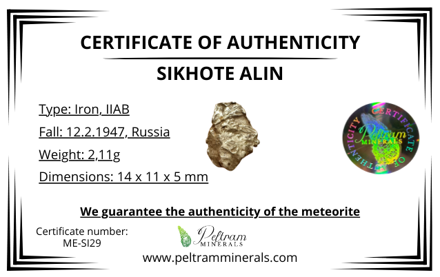 Meteorite Sikhote Alin – Russia – MESI29