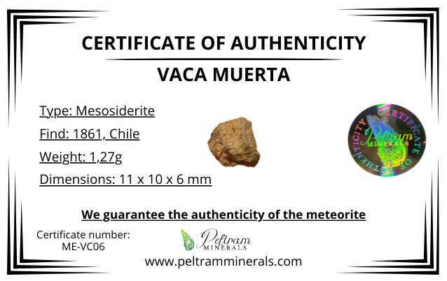 Meteorite Vaca Muerta – Chile – MEVC06