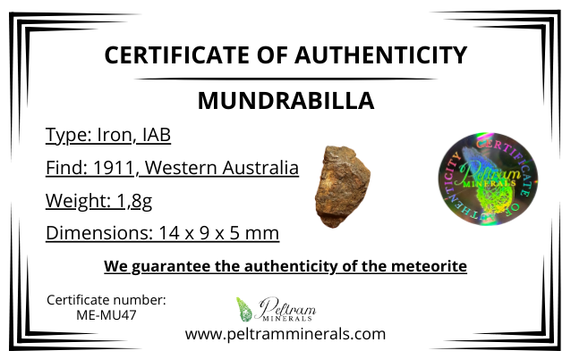 Meteorite Mundrabilla – Nullarbor plain, Australia – MEMU47