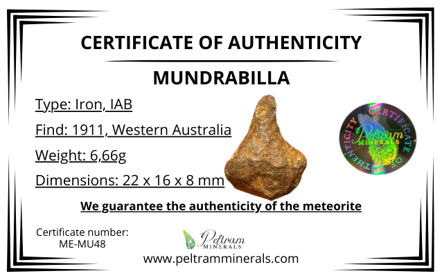 Meteorite Mundrabilla – Nullarbor plain, Australia – MEMU48