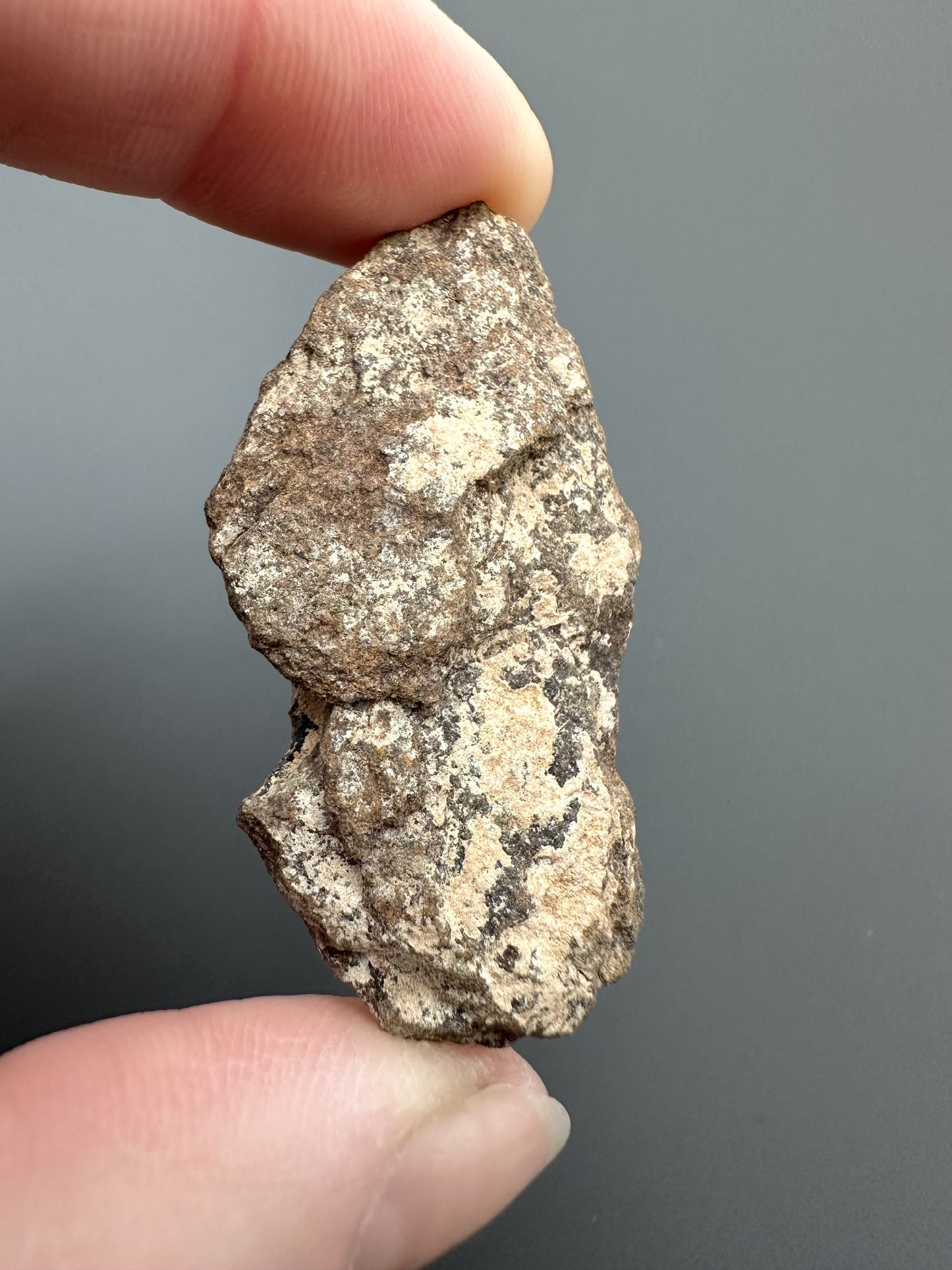 Meteorite Al Haggounia 001 – Western Sahara – MEAH06