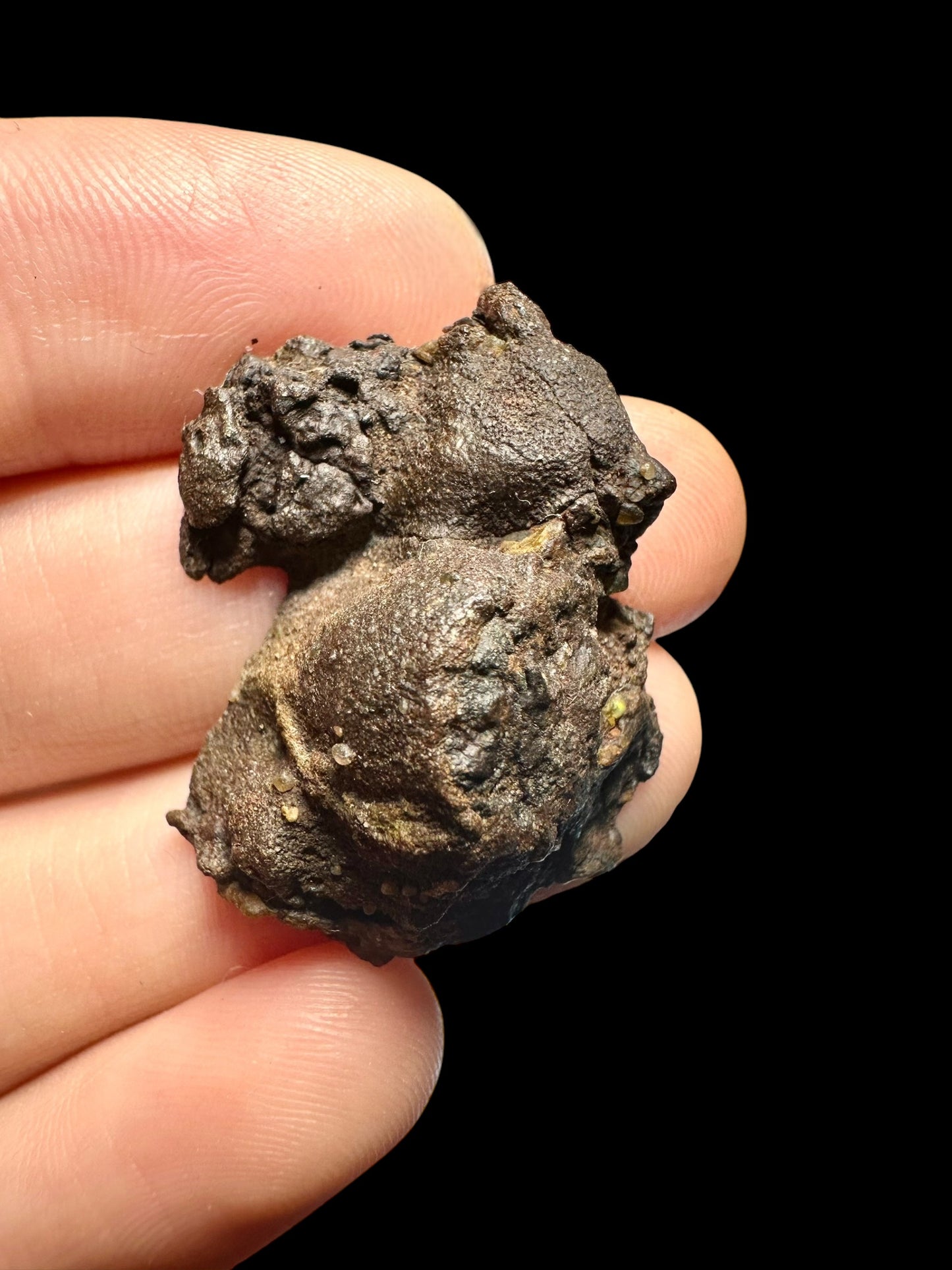 Meteorite Pallasite La'gad 002 – Western Sahara – MELA20