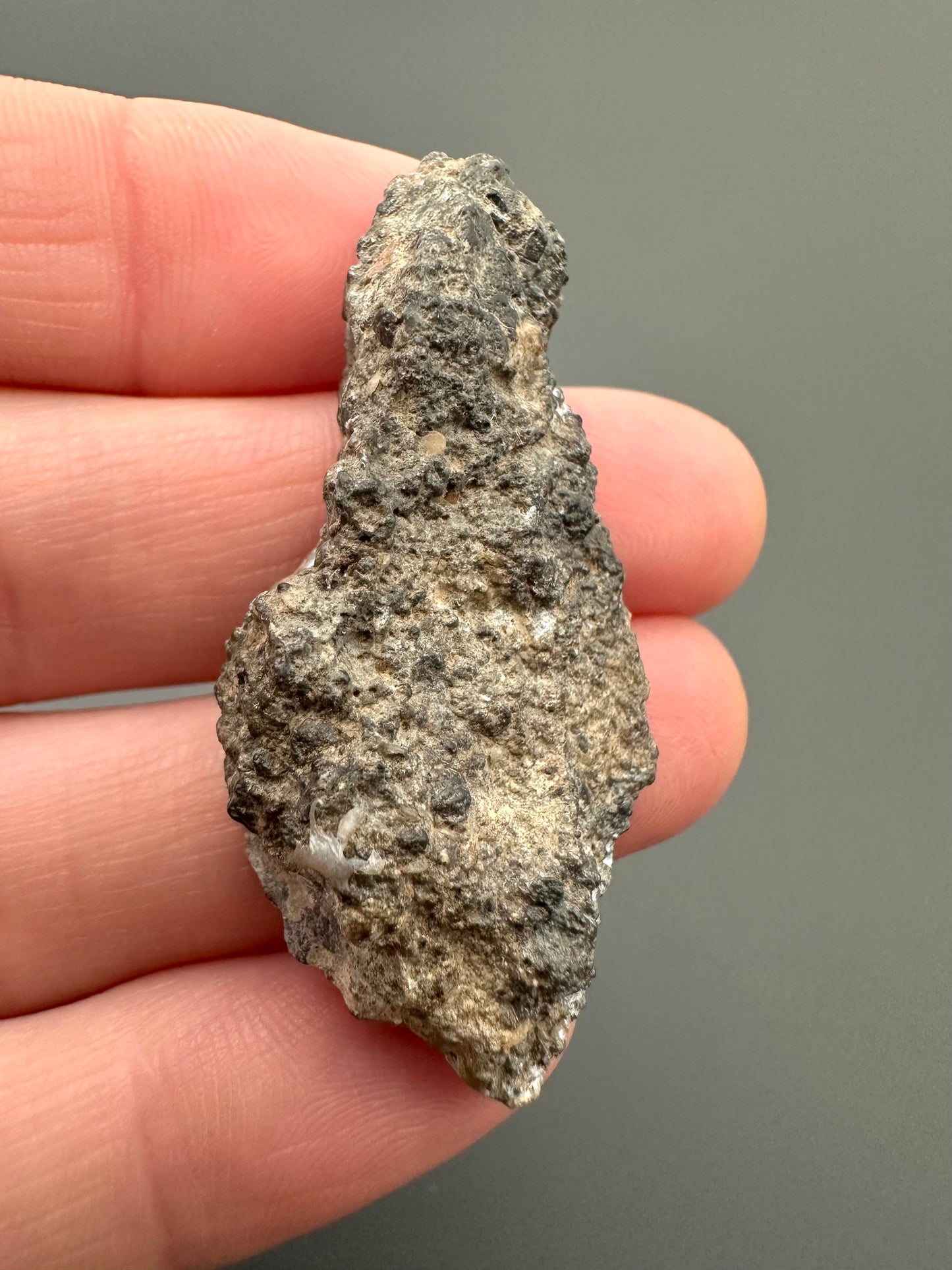 Meteorite lunare Bechar 003 – Algeria – MEBA24