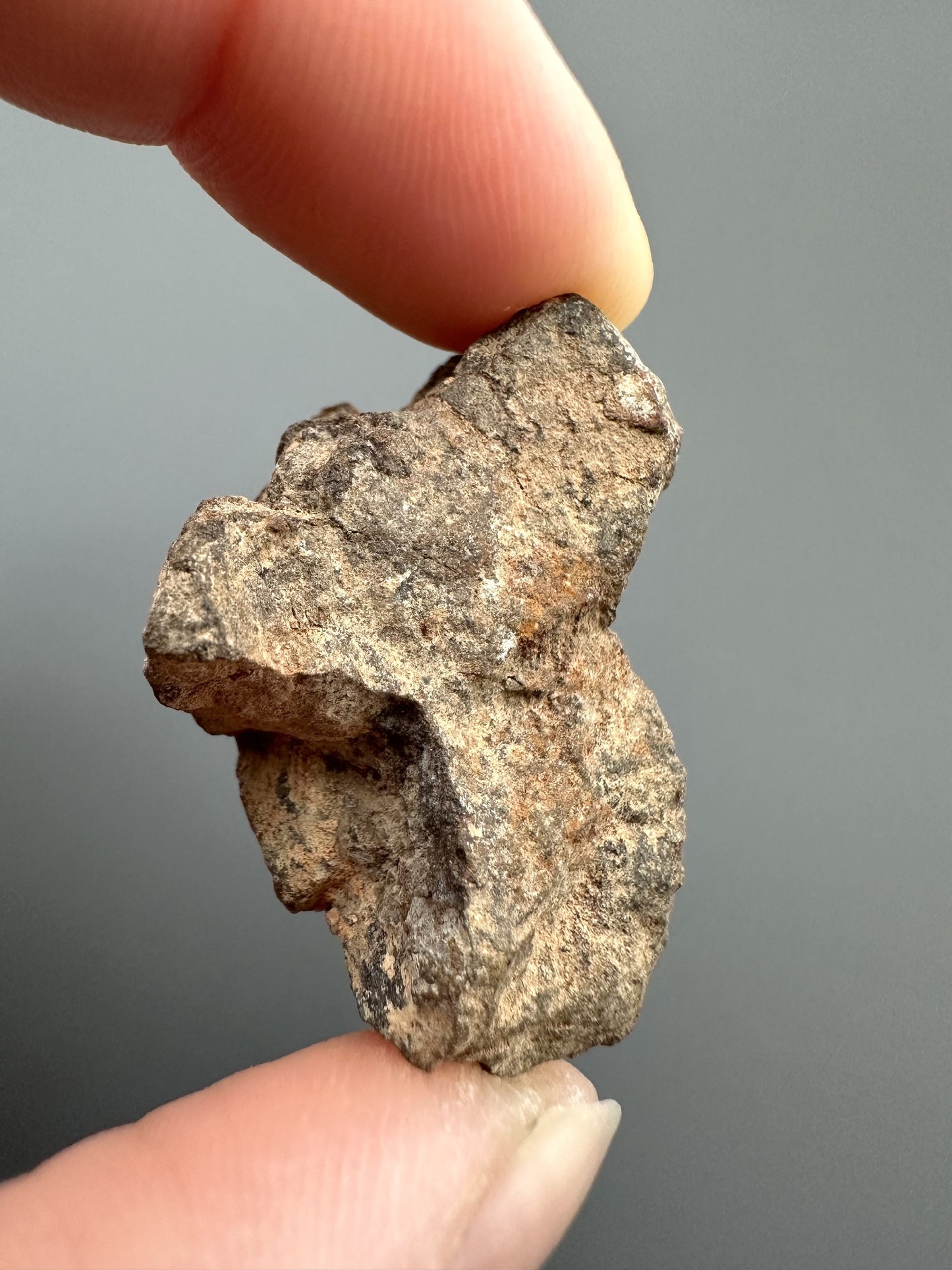 Meteorite Al Haggounia 001 – Western Sahara – MEAH10