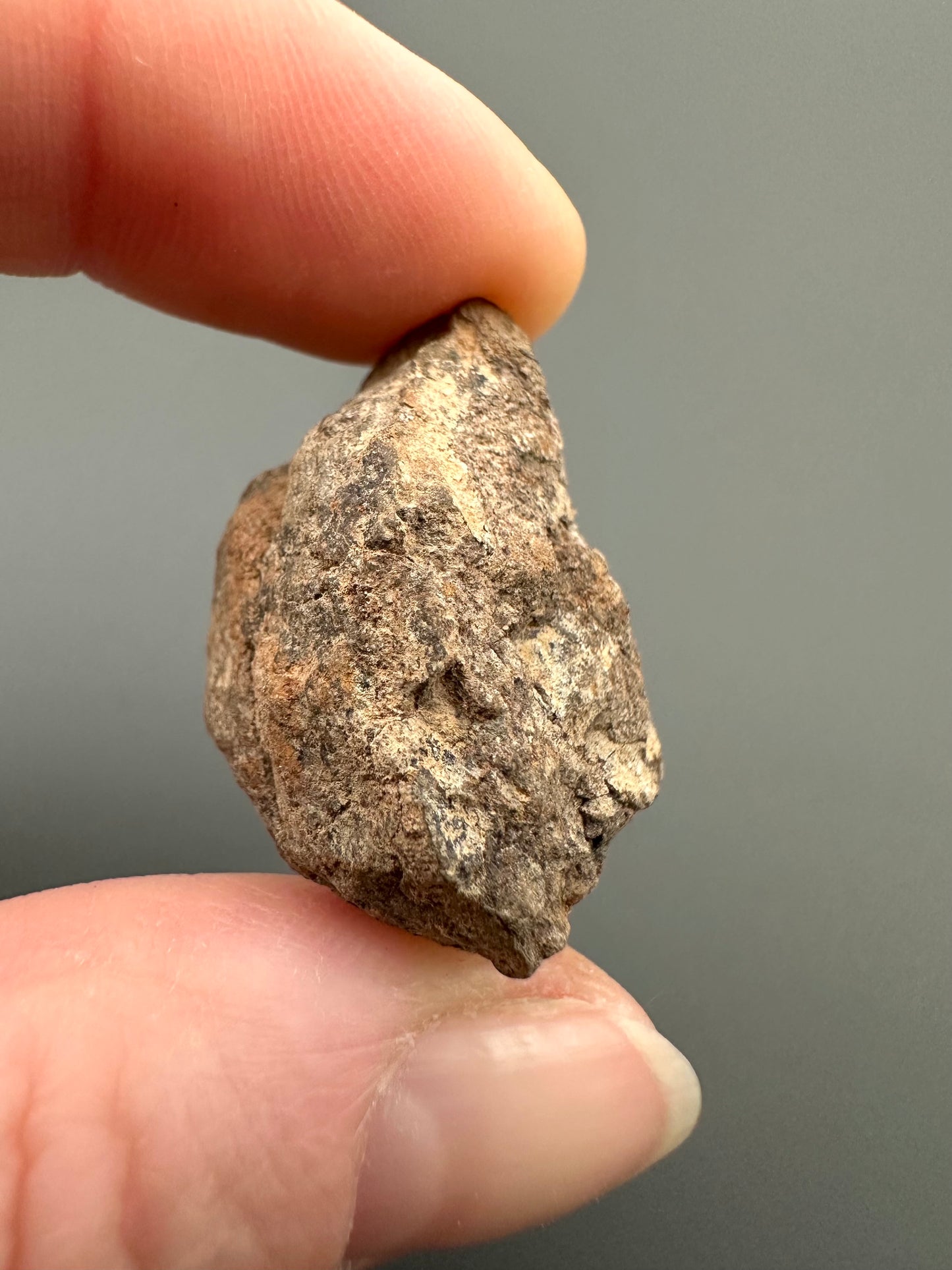 Meteorite Al Haggounia 001 – Western Sahara – MEAH17