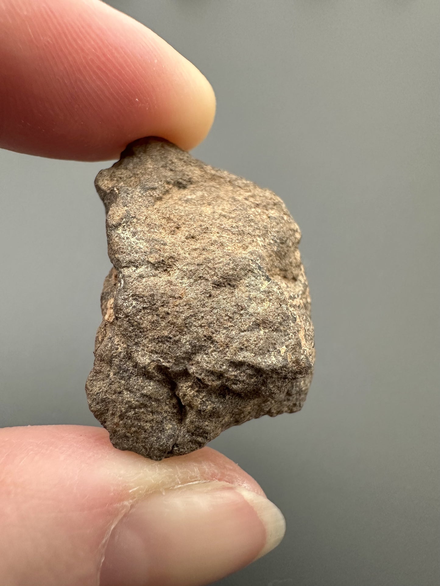 Meteorite Al Haggounia 001 – Western Sahara – MEAH18