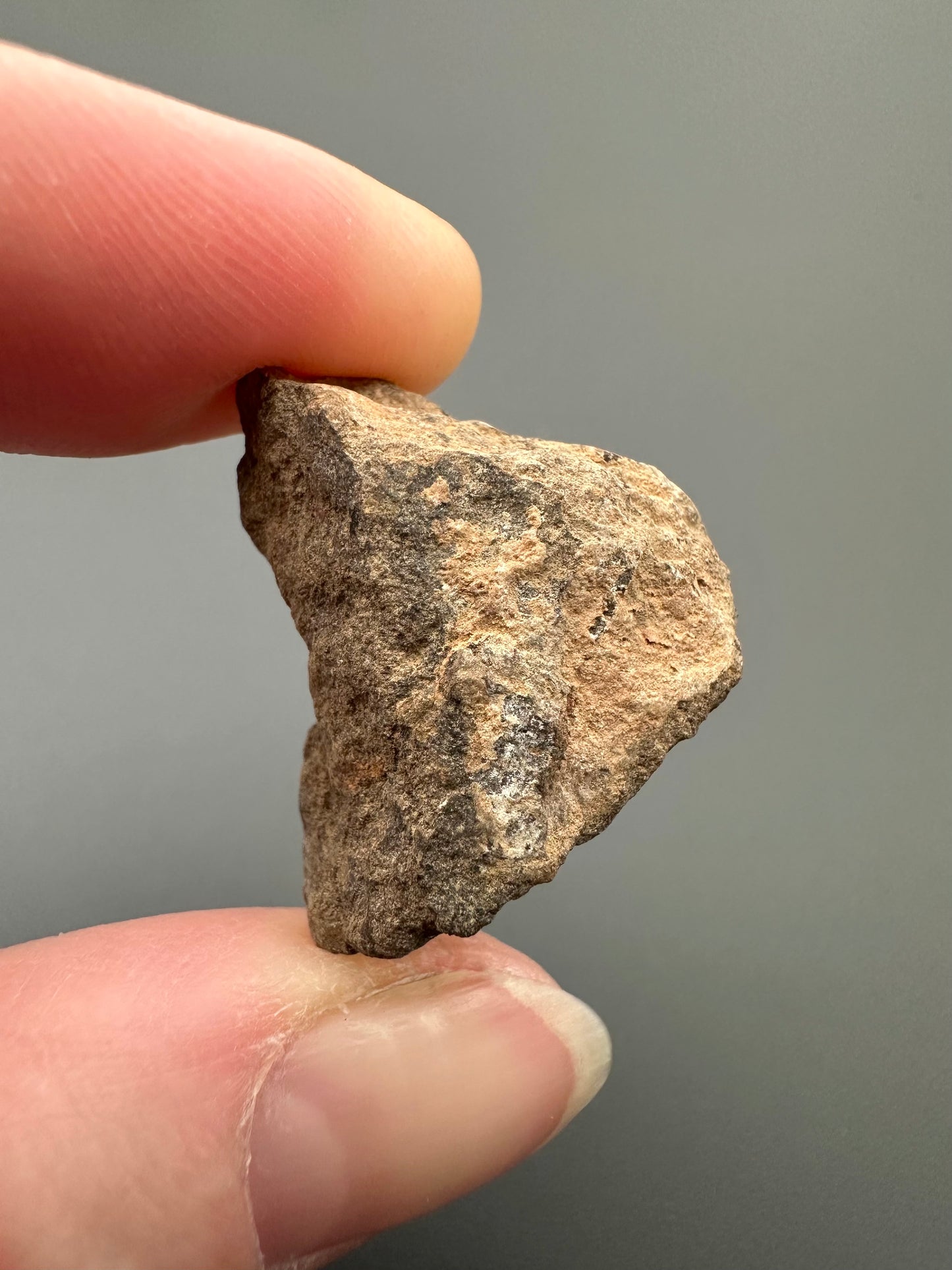Meteorite Al Haggounia 001 – Western Sahara – MEAH19