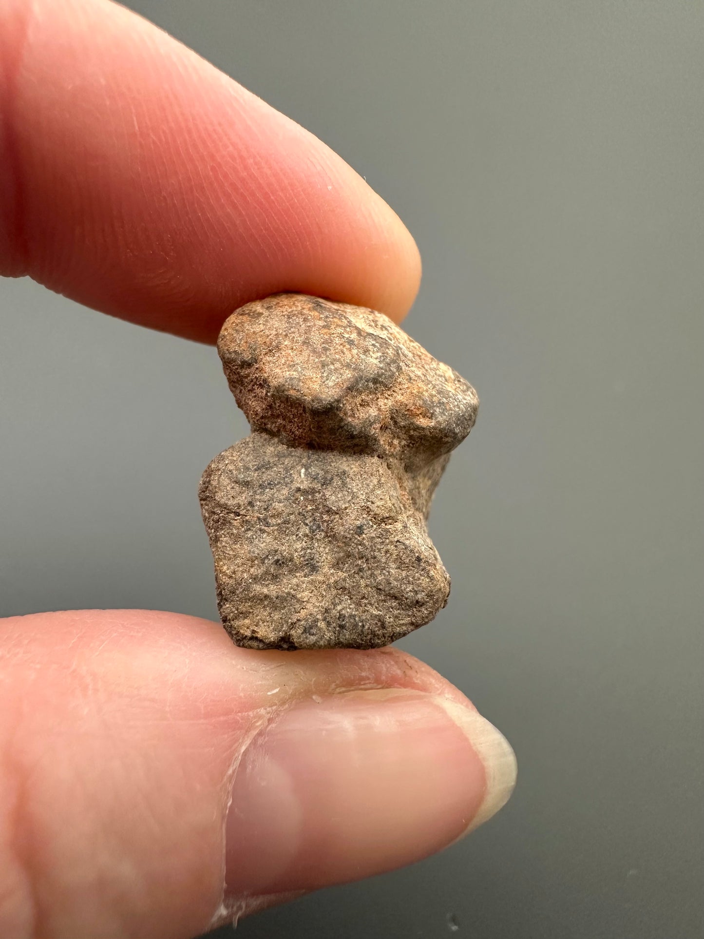 Meteorite Al Haggounia 001 – Western Sahara – MEAH21