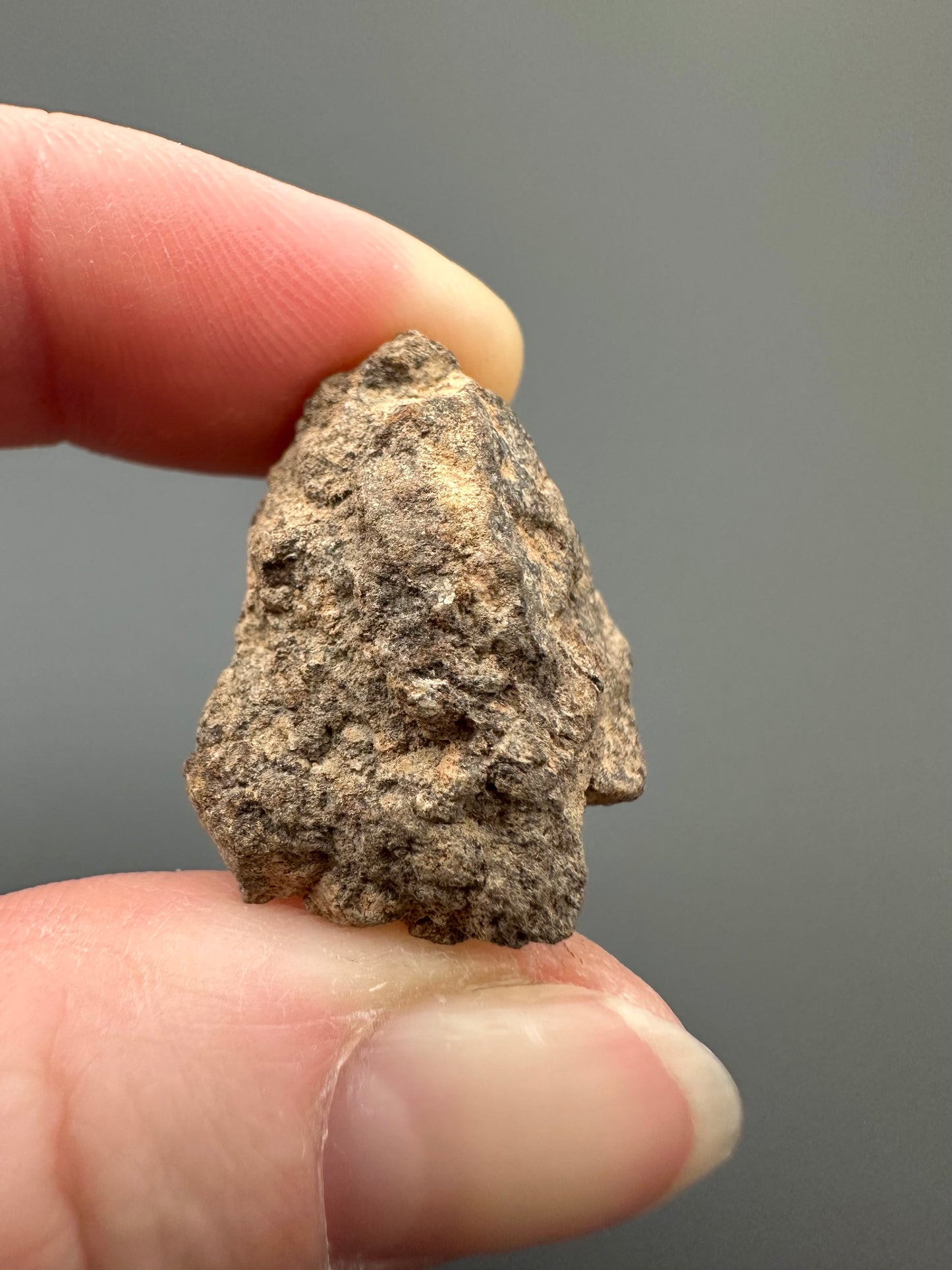 Meteorite Al Haggounia 001 – Western Sahara – MEAH23