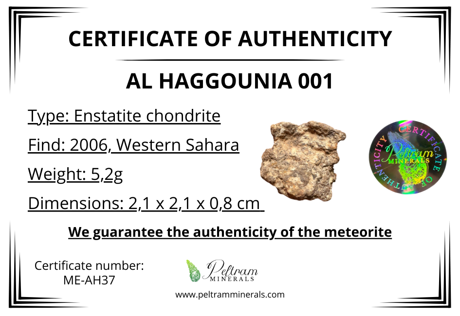 Meteorite Al Haggounia 001 – Western Sahara – MEAH37
