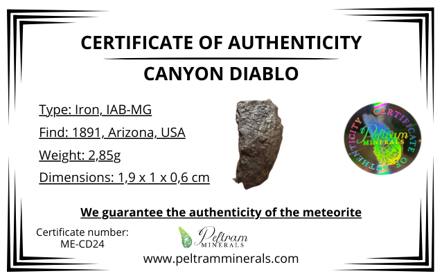 Meteorite Canyon Diablo – Arizona, USA – MECD24