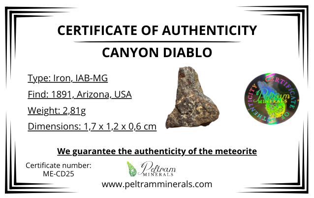 Meteorite Canyon Diablo – Arizona, USA – MECD25