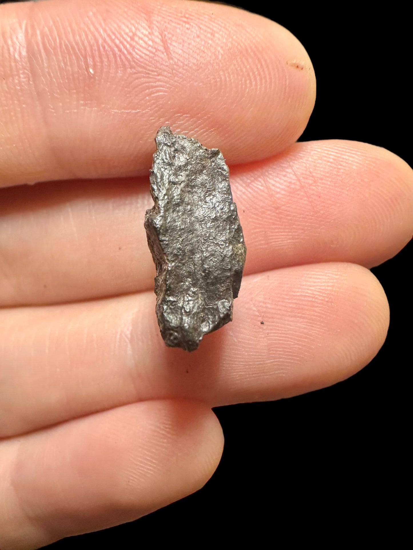 Meteorite Canyon Diablo – Arizona, USA – MECD34