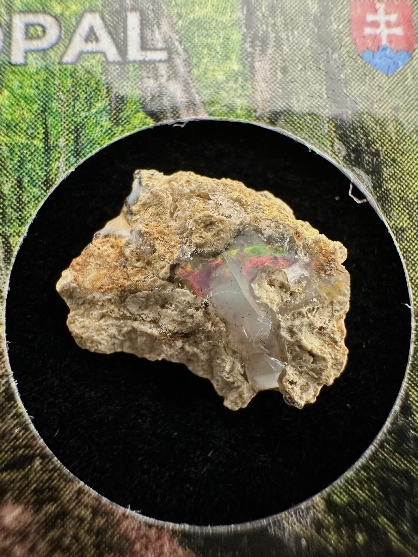Opale Prezioso in box – Dubnik, Slovakia – SOP052