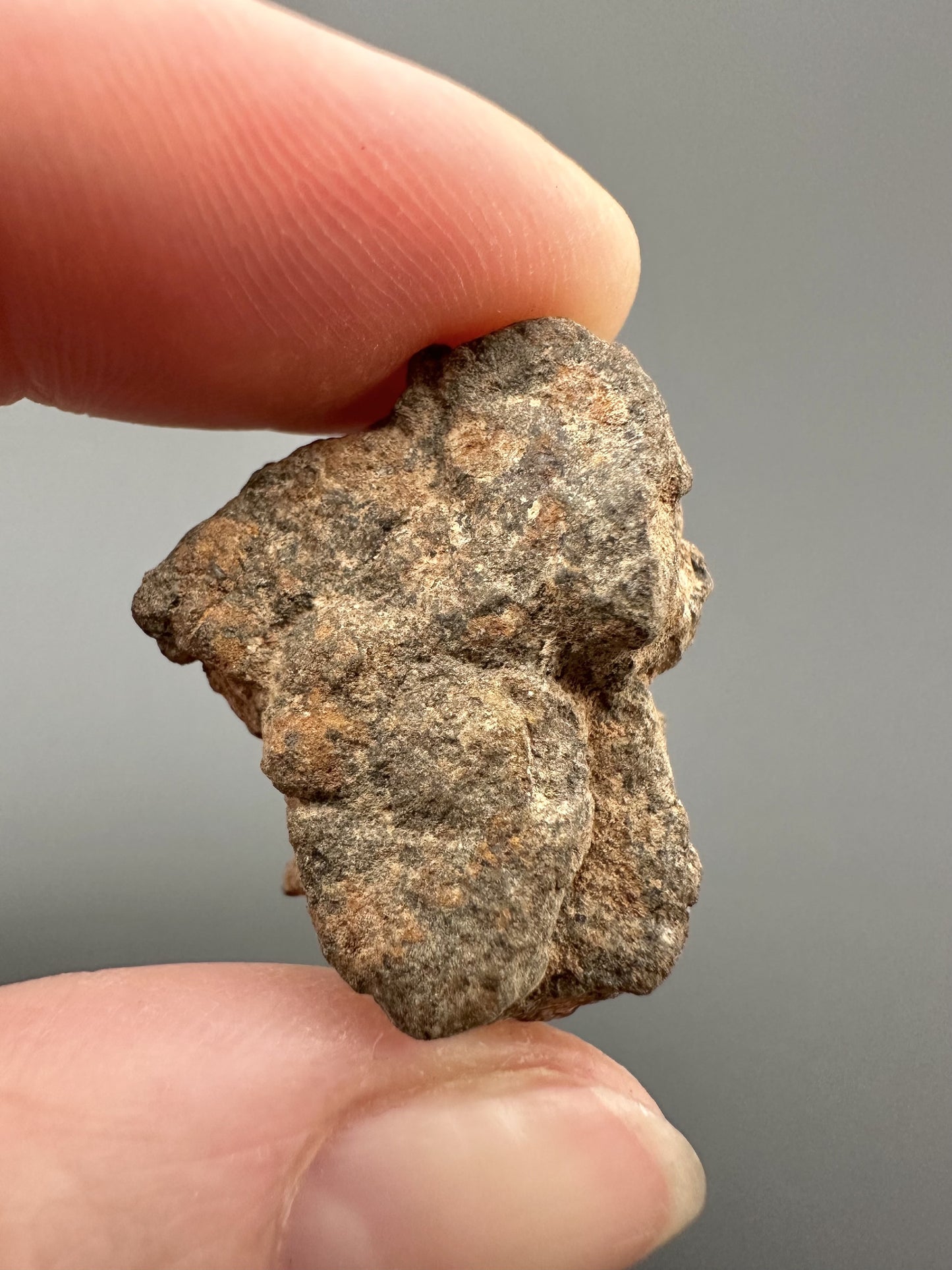 Meteorite Al Haggounia 001 – Western Sahara – MEAH52