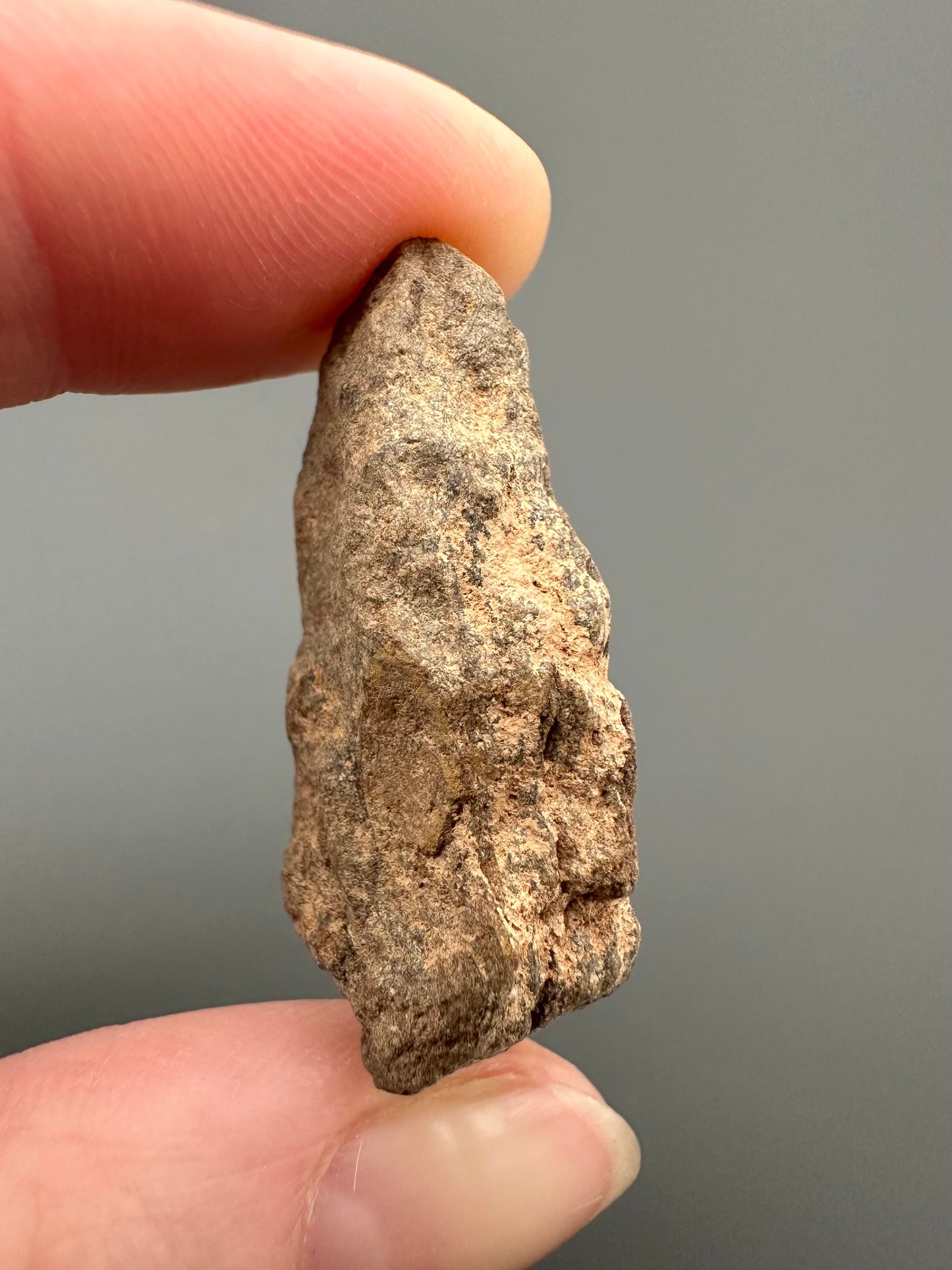 Meteorite Al Haggounia 001 – Western Sahara – MEAH53