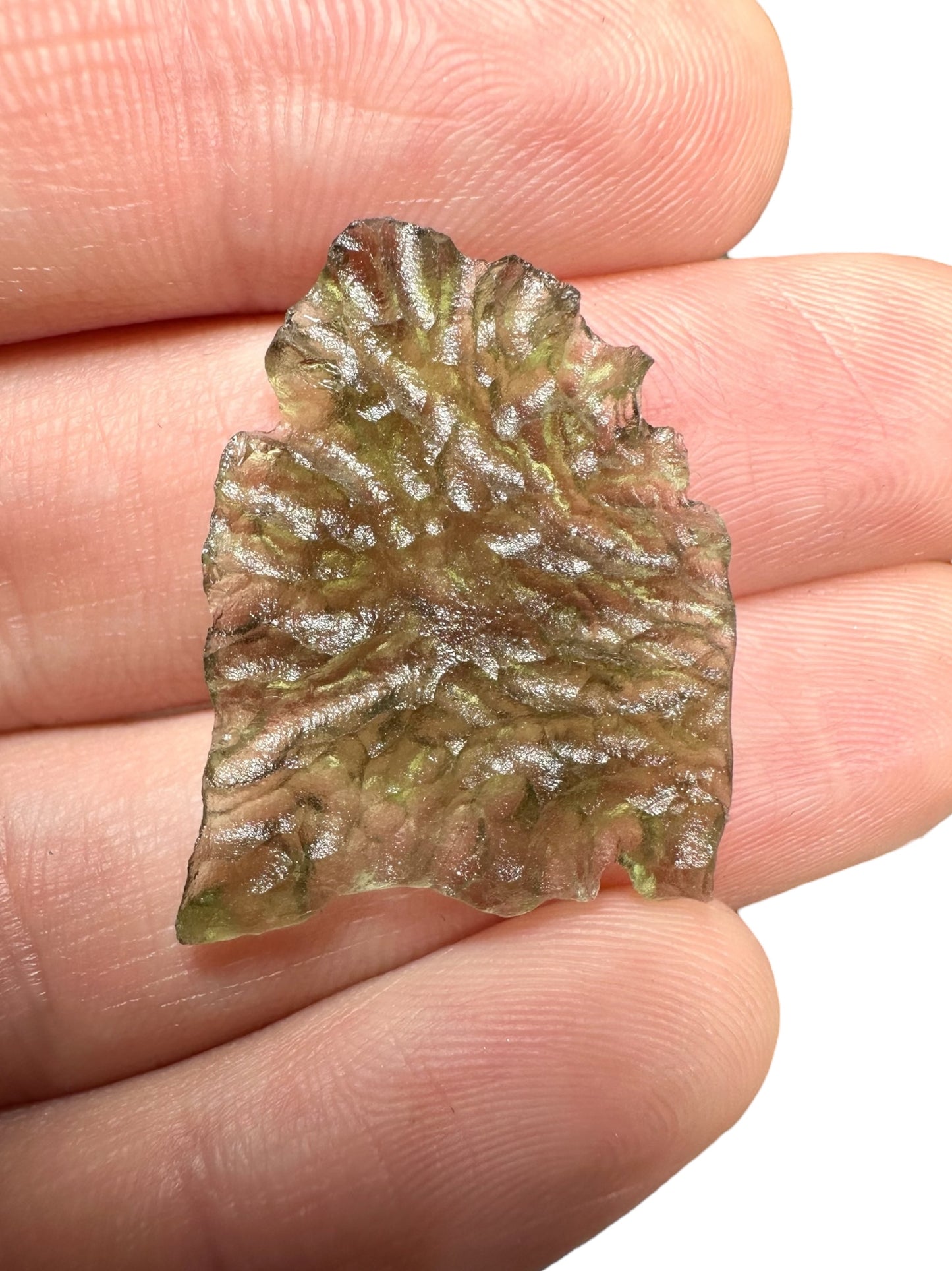 Moldavites – Besednice Jezkovna – 9,8g