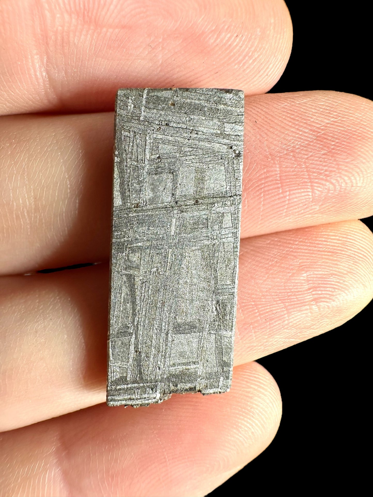 Meteorite Muonionalusta – Norrbotten, Sweden – MEMO33