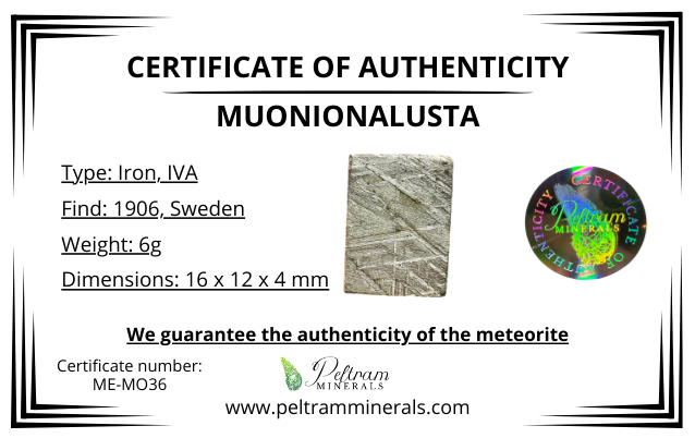 Meteorite Muonionalusta – Norrbotten, Sweden – MEMO36