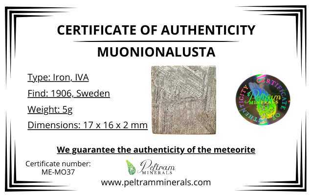 Meteorite Muonionalusta – Norrbotten, Sweden – MEMO37