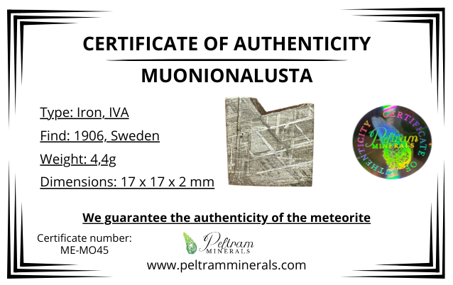 Meteorite Muonionalusta – Norrbotten, Sweden – MEMO45
