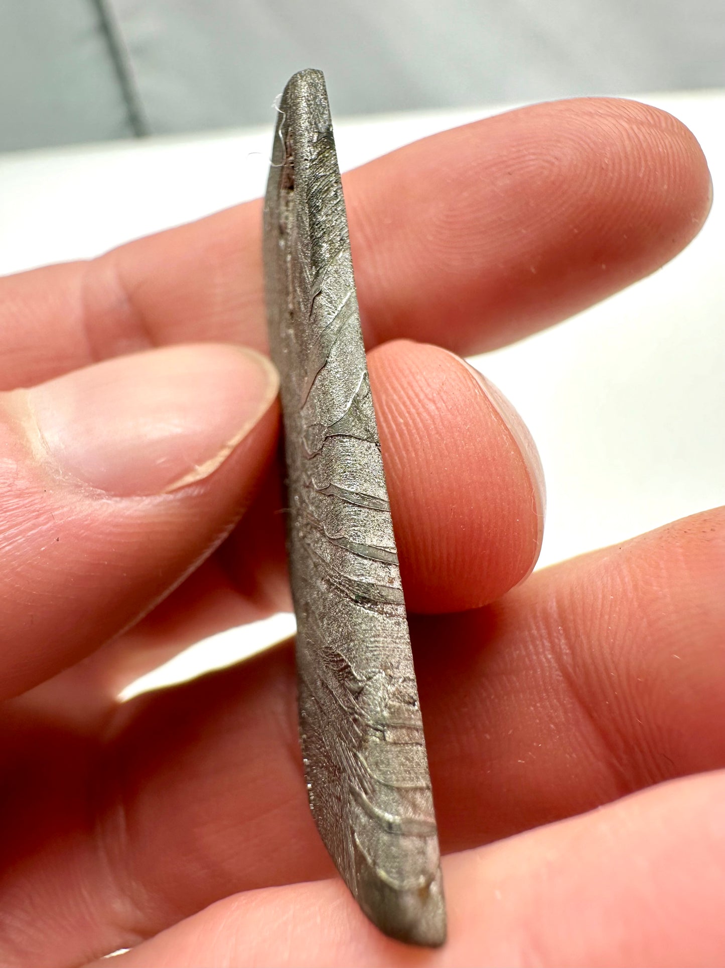 Meteorite Seymchan – Magadan, Russia – MESM03