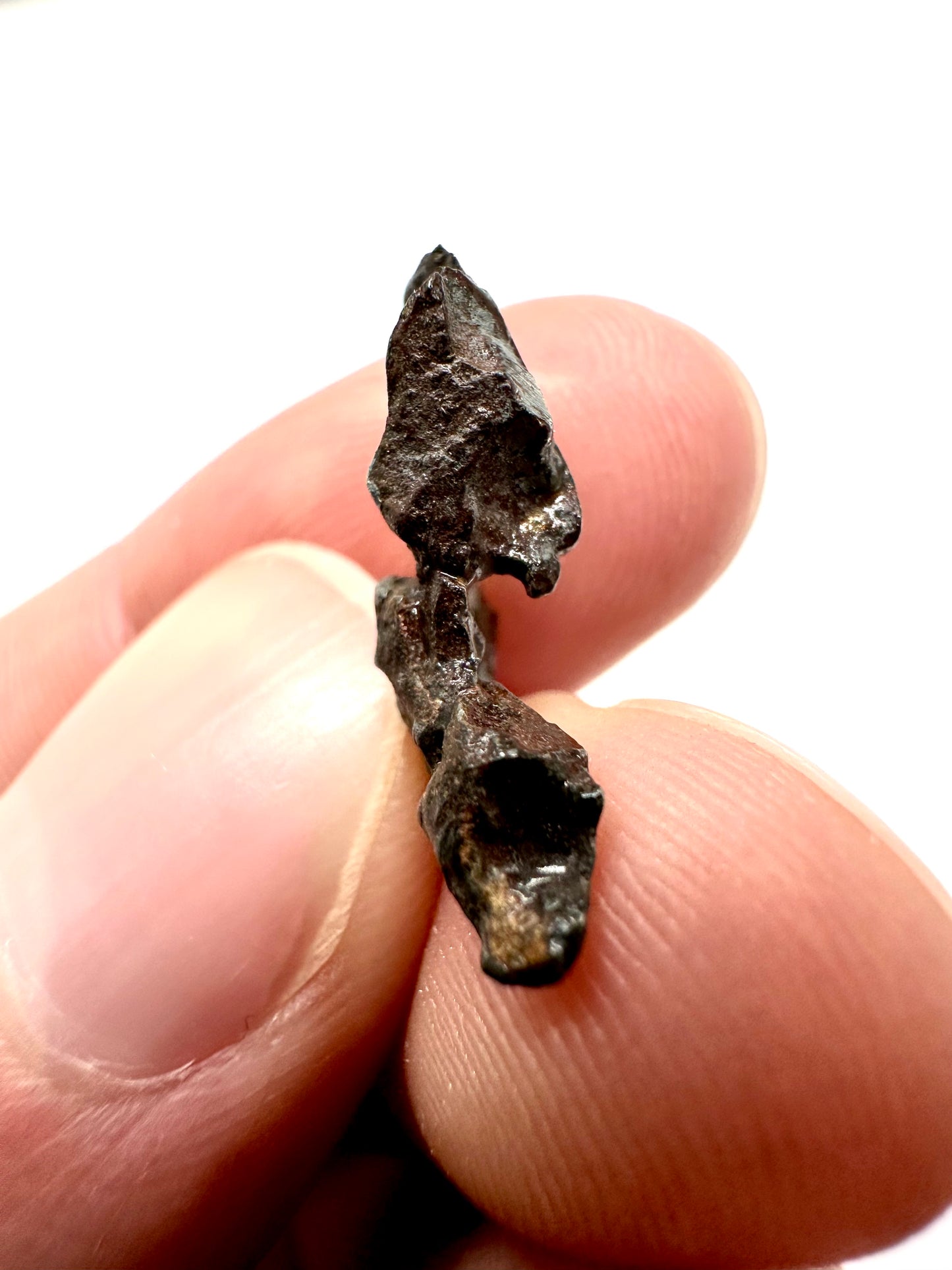 Meteorite Pallasite Imilac – Chile – MEIM01