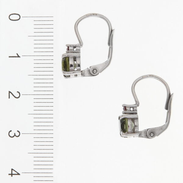 Orecchini in argento con moldaviti e granati 2085-4